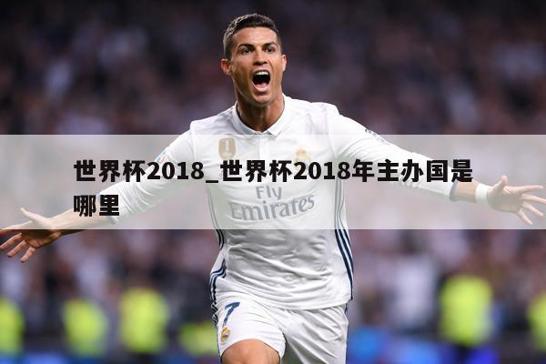 世界杯2018_世界杯2018年主办国是哪里