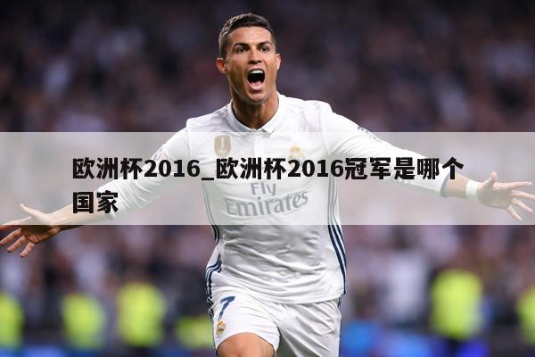 欧洲杯2016_欧洲杯2016冠军是哪个国家
