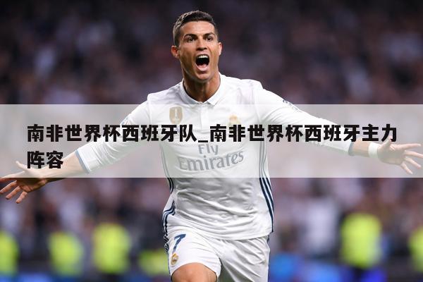 南非世界杯西班牙队_南非世界杯西班牙主力阵容